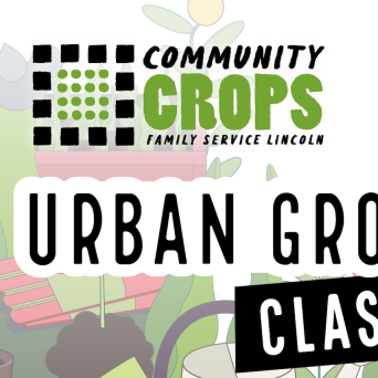 Community Crops Family Service Lincoln Free Urban Grower Classes